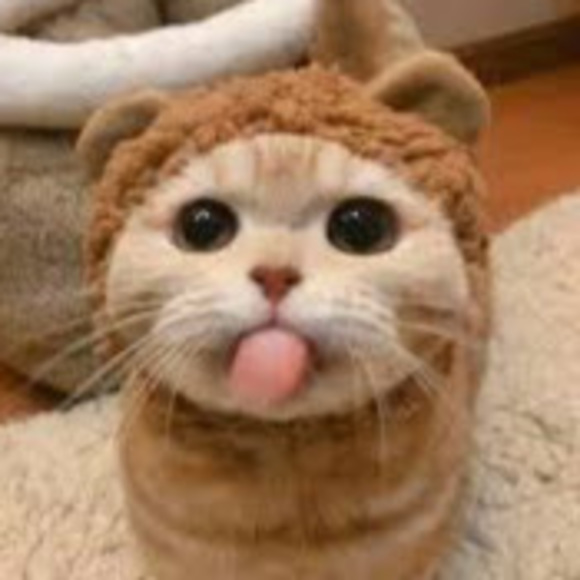 Meet your Posher, Cindyiswe1r - Picture 1 of 1